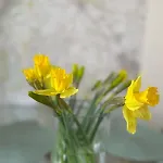 Martindales Yard בית נופש