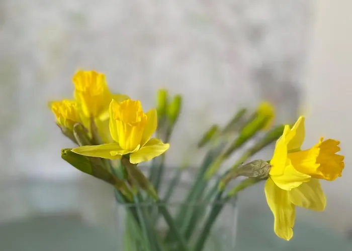 Holiday home Martindales Yard *